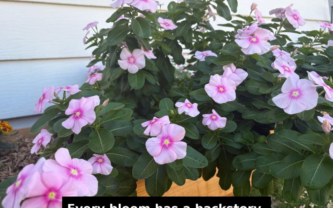 Why I Wrote Letters to Cassie